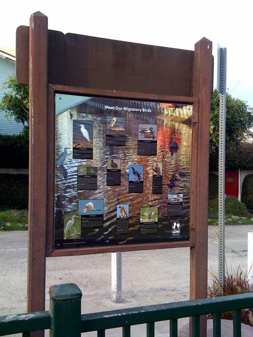 "MIGRATORY BIRDS OF THE VENICE CANALS" DISPLAY INSTALLED AT LINNIE PARK ...