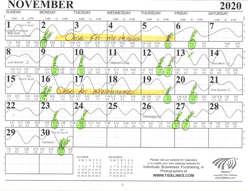 November Flushing Schedule